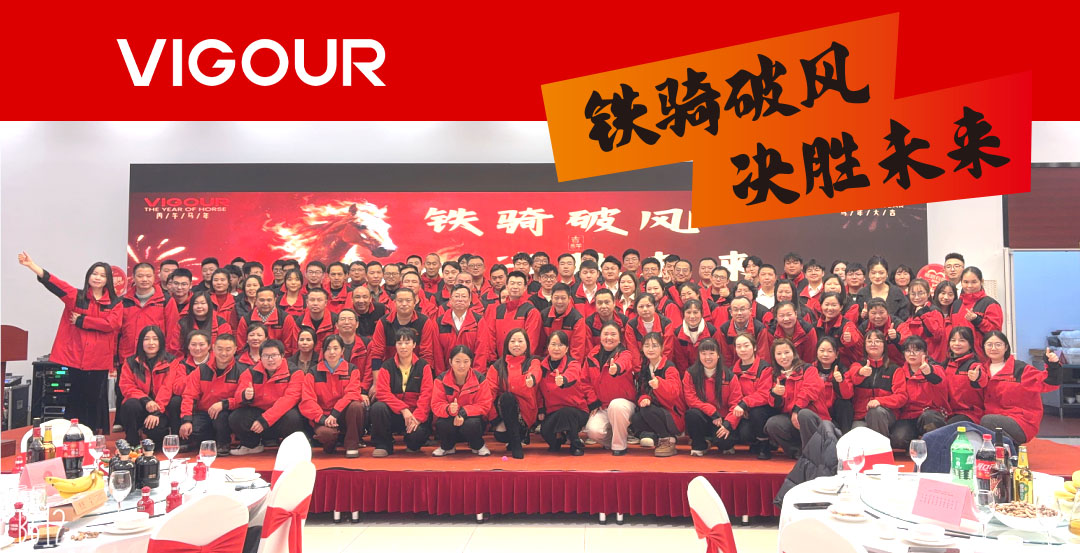 VIGOUR | Focused on Gas Control, Advancing on a Global Journey